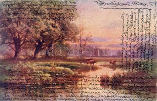 1905. Hosszú címzéses, futott üdvözlőlap, Schima Bandi saját kezű írásával