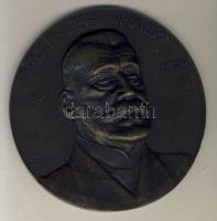 1925. "Kajlinger Mihály 1860-1924" nagyalakú Br emlékplakett szign.: Sződy T:2