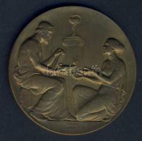 1931. "I. Congressus Stomatologorum Internationalis Budapest" Br emlékérem szign.:Berán Lajos T:2-