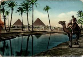 1953 december 31. Az aranycsapat tagjai által Kairóból küldött képeslap a csapattagok aláírásával / ...