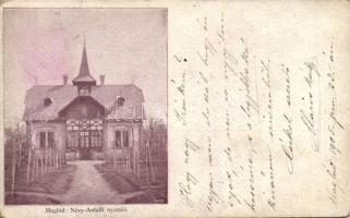 Maglód Névy-Antalfi nyaraló