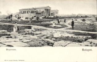 Budapest III. Aquincum, Divald