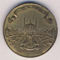 Franciaország 1878. "Expo Universelle Párizs-Trocadero" nagyon szép emlékérem T:2 ph. szign.:Drentwett