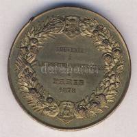 Franciaország 1878. "Expo Universelle Párizs-Trocadero" nagyon szép emlékérem T:2 ph. szig...