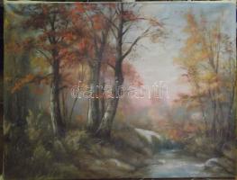 Jelzés nélkül: Őszi táj, olaj-vászon, 60x80cm