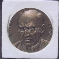 1994. "Nagy Lajos Irodalmi és Művészeti Alapítvány díja" nagyalakú Br emlékplakett eredeti díszdobozban és a díjnyertesnek küldött értesítővel T:1