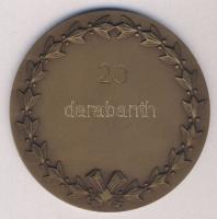 DN "20 Mikroszkóp" Br emlékplakett eredeti díszdobozban T:1