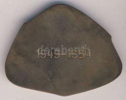 1949-1984. "Magyar Néphadsereg" Br emlékplakett díszdobozban T:2