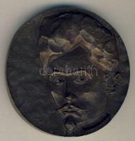 DN "Petőfi Sándor-Hol sírjaink domborulnak..." Br emlékplakett díszdobozban T:2