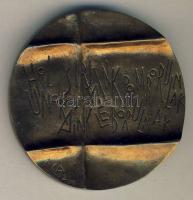 DN "Petőfi Sándor-Hol sírjaink domborulnak..." Br emlékplakett díszdobozban T:2