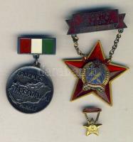 DN "Szakma kiváló dolgozója" kitüntetés + "Érdemes társadalmi munkás" kitüntetés mindkettő díszdobozban T:1,2