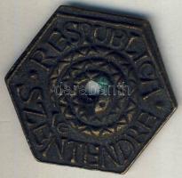 1979. "Állami csúszópénz-Respublica Szentendre" Br gúnyérem T:2