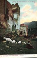 Sztrecsnó castle ruins, shepherd