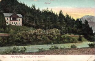 Fenyőháza Villa Köri