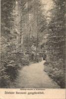 Borosznó-Gyógyfürdő alley (Rb)