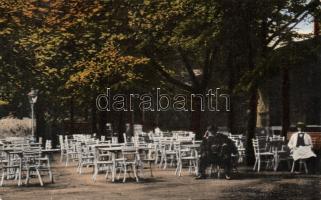 Vihnyefürdő Café (small tear)