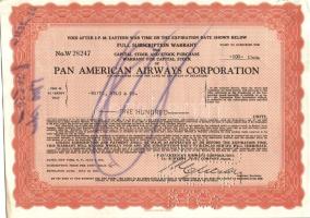 USA / New York 1945. Pan American Airways Corporation légi személyszállító vállalat 100$ részvénye T:II