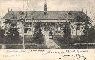 Gyoma Erzsébetliget pavilon (fl)