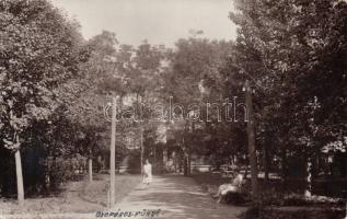 Gyopáros-fürdő park