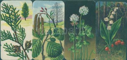 20db klf növény ismertető "Stühmer-sorozat"-ból, színes dombor litho
