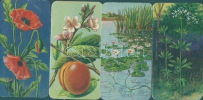 20db klf növény ismertető "Stühmer-sorozat"-ból, színes dombor litho