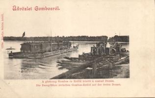 Gombos steam fery (wet damage)