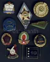 10db szocialista kiváló, törzsgárda jelvény (Ügyészségi Törzsgárda, Filmszakmai törzsgárda, Ganz Mávag Törzsgárda...) T:1,2