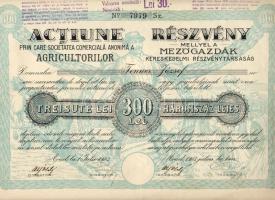 Románia/Arad 1923 Mezőgazdák...részvénye 300L