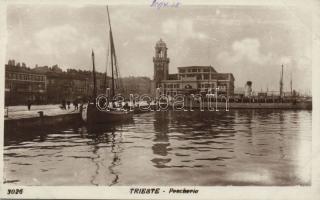 Trieste ship station