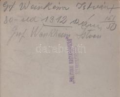 Gróf Wenkheim István a Főrendiház tagjának aláírt keményhátú sajtófotója "Politikai Magyarorszá...