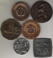 6db plakett modern klf eseményekre