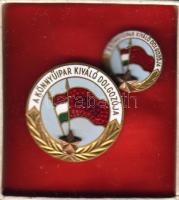 A könnyűip. kiv. dolg. kitűzővel és igazolvánnyal