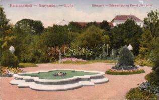 Nagyszeben Erlen park, military hospital (EK)