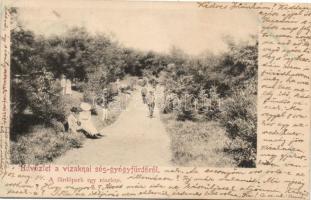 Vízakna Sós-gyógyfürdő park