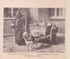 cca 1920 Antwerpen 100 füzet 100 képpel (boritón kis lyuk) / Anvers 100 pages picture booklet with i...