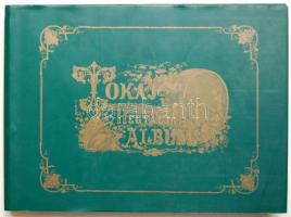 1867. Báró Vay Miklós: Tokaj-Hegyaljai album Emich Gusztáv Magyar Akad. Nyomdász kiadásában, Pest, számos metszettel ellátva, magyar-német-angol-francia nyelvre fordítva, szép állapotban. Reprint!