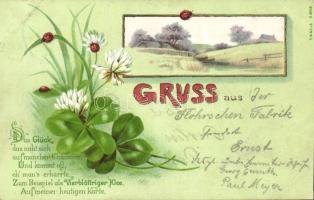 1899 2 db szép régi litho üdvözlőlap katicabogarakkal