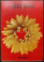 40 db 1918-1919 munkásmozgalmi fotó reprodukciója eredeti mappűban