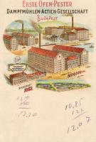 Budapest Dampfmühle Litho