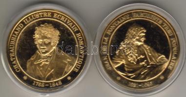 Franciaország 2db modern bronzérem aranyozva T:PP
