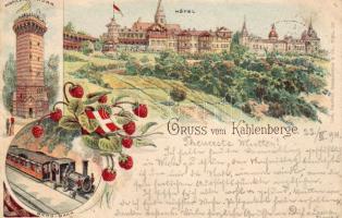 1894 Kahlenberg mit Bergbahn Litho