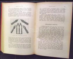 1911. Dr. Hankó Vilmos szerkesztésében megjelent Universum olvasmány Schöpflin Aladár és más neves í...