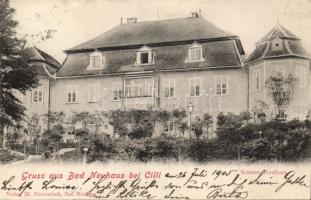 Novi grad (Bad Neuhaus) by Celje castle