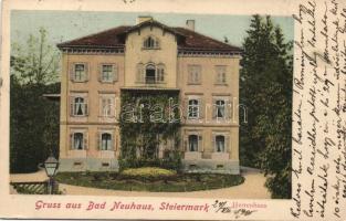 Novi grad (Bad Neuhaus) by Celje gentlemen´s house