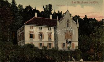 Novi grad (Bad Neuhaus) by Celje Villa Hygiea