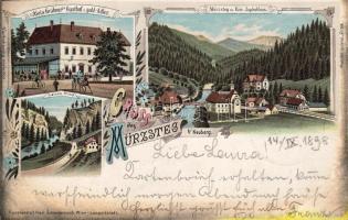 1899 Mürzsteg mit Gasthof Litho