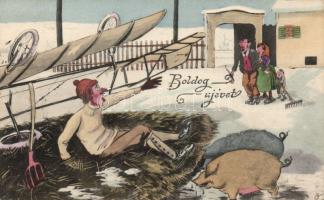 Aeroplane crash, barnyard humour