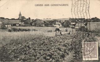 Krajková (Gossengrün) (EK)