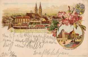 Wiener Neustadt Militärakademie Litho