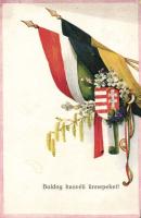 K.u.K. flags, propaganda